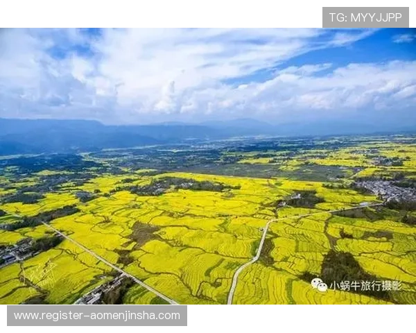 金沙体育登录官网最新入口，安全稳定的体育赛事在线娱乐平台推荐